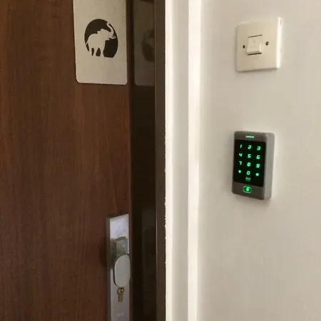 Jezuicka 24 בידגוז'יז'